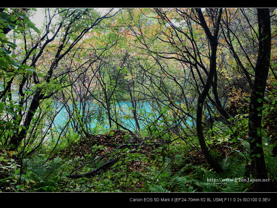 20101010-5color-lake-02.jpg