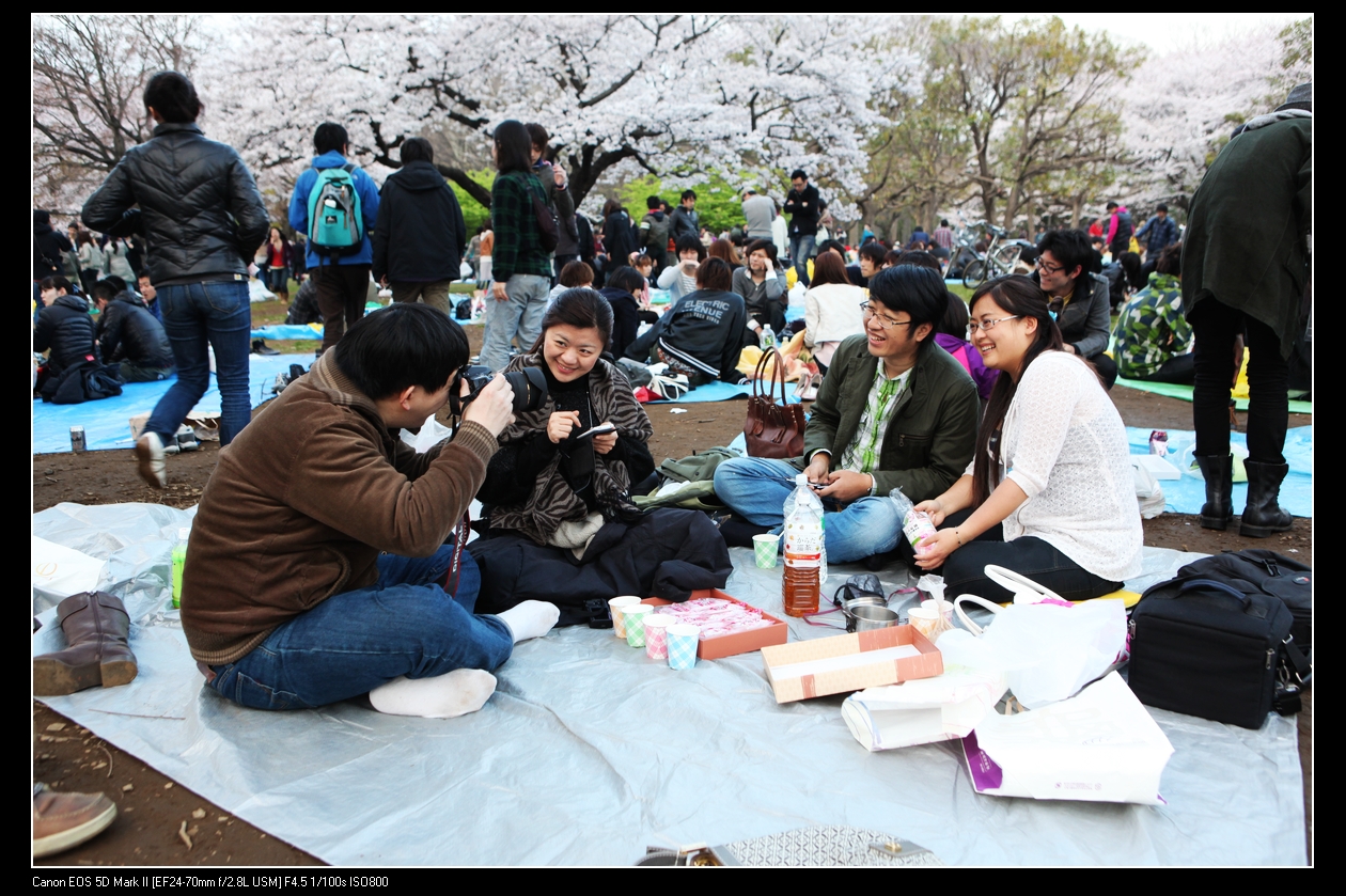 2010-04-IMG_4671-sakura-02.jpg