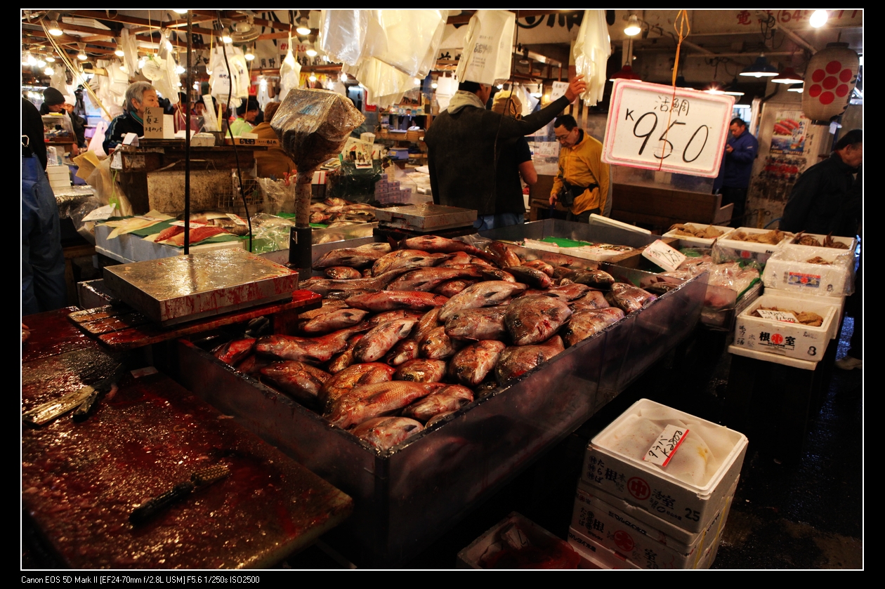 2010-jan-IMG_0445-sea food market-01.jpg