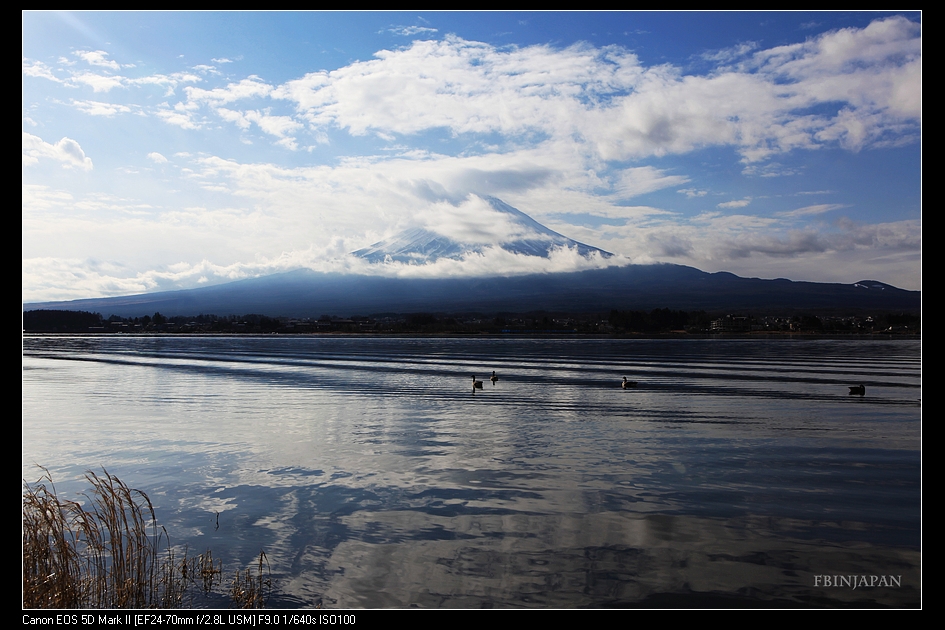 2011-01-03-IMG_1479-fuji-01s.jpg