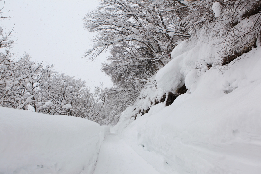 IMG_3295-shirakawago-07.jpg