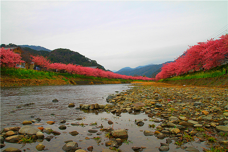 河滩上.jpg