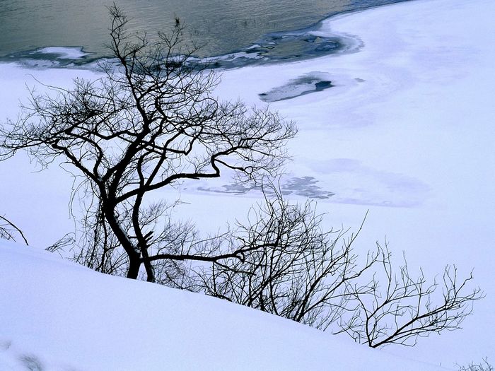 北极雪~.jpg