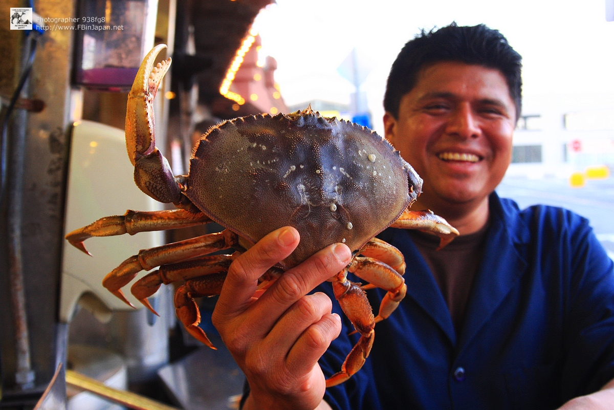 2009-sanfrancisco-crab-IMG_9819.jpg