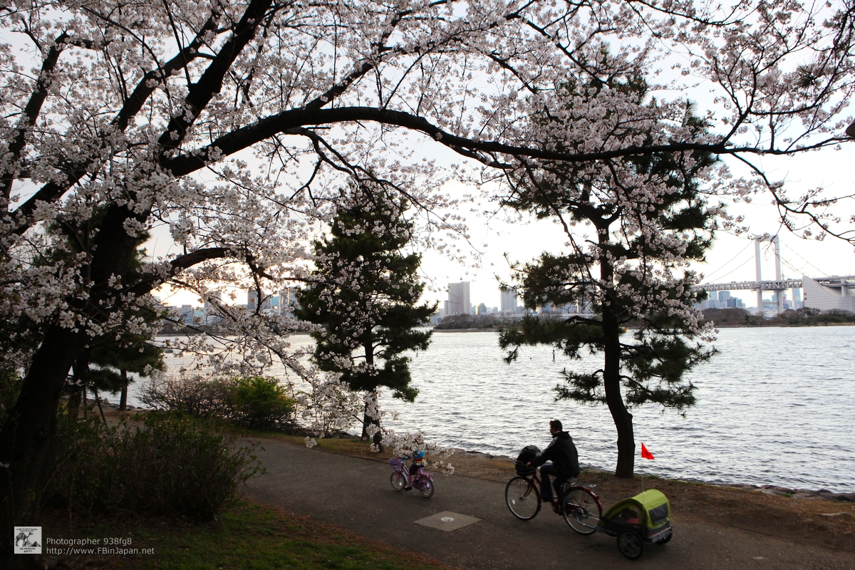 2012-04-06-odaiba-IMG_8366.jpg