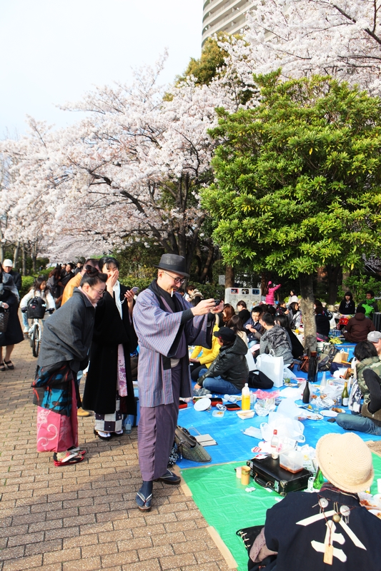 2012-04-07-hanami-IMG_8663.jpg