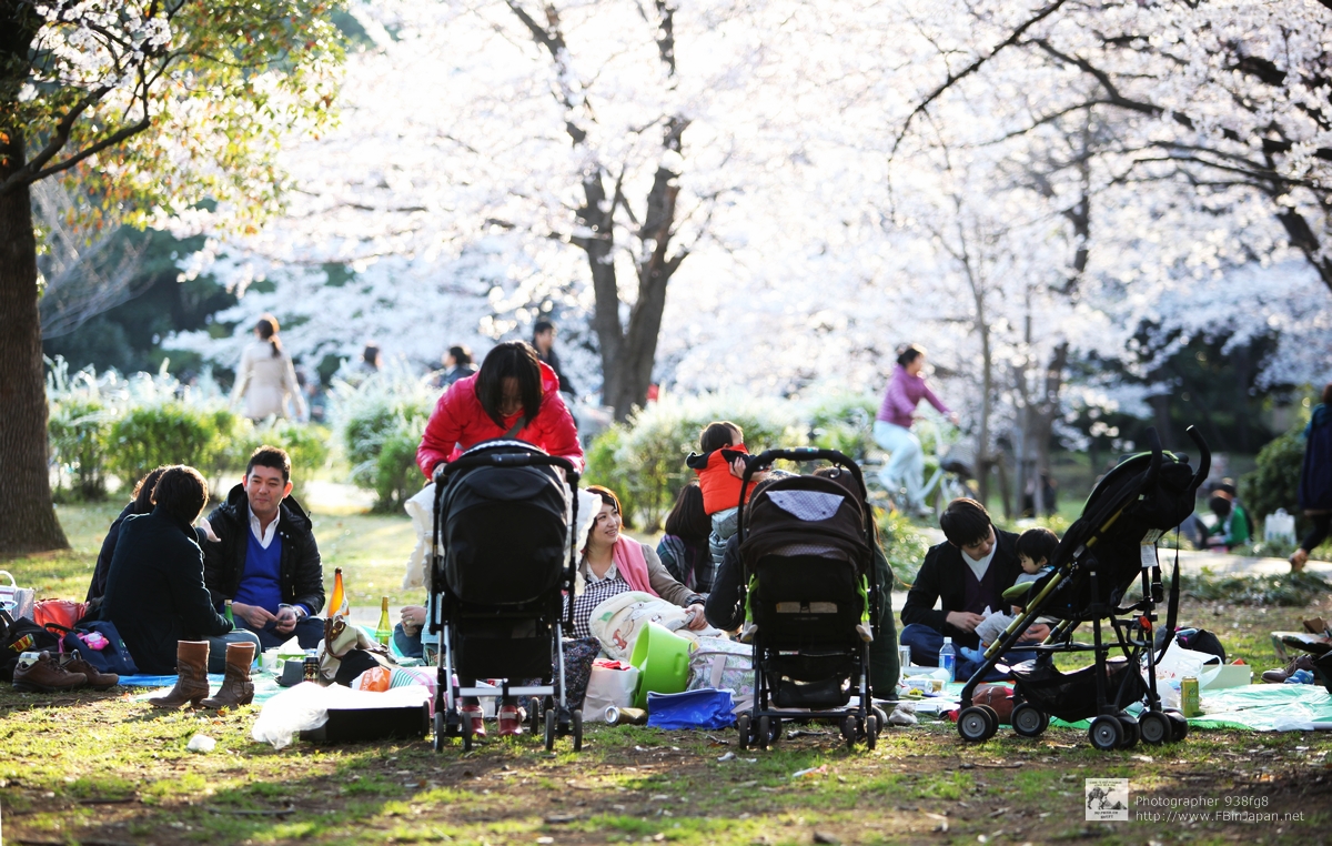 2012-04-08-sakura-IMG_9171.jpg