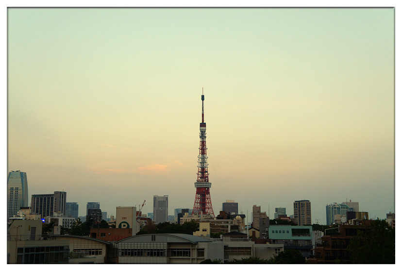 夕阳中的东京塔