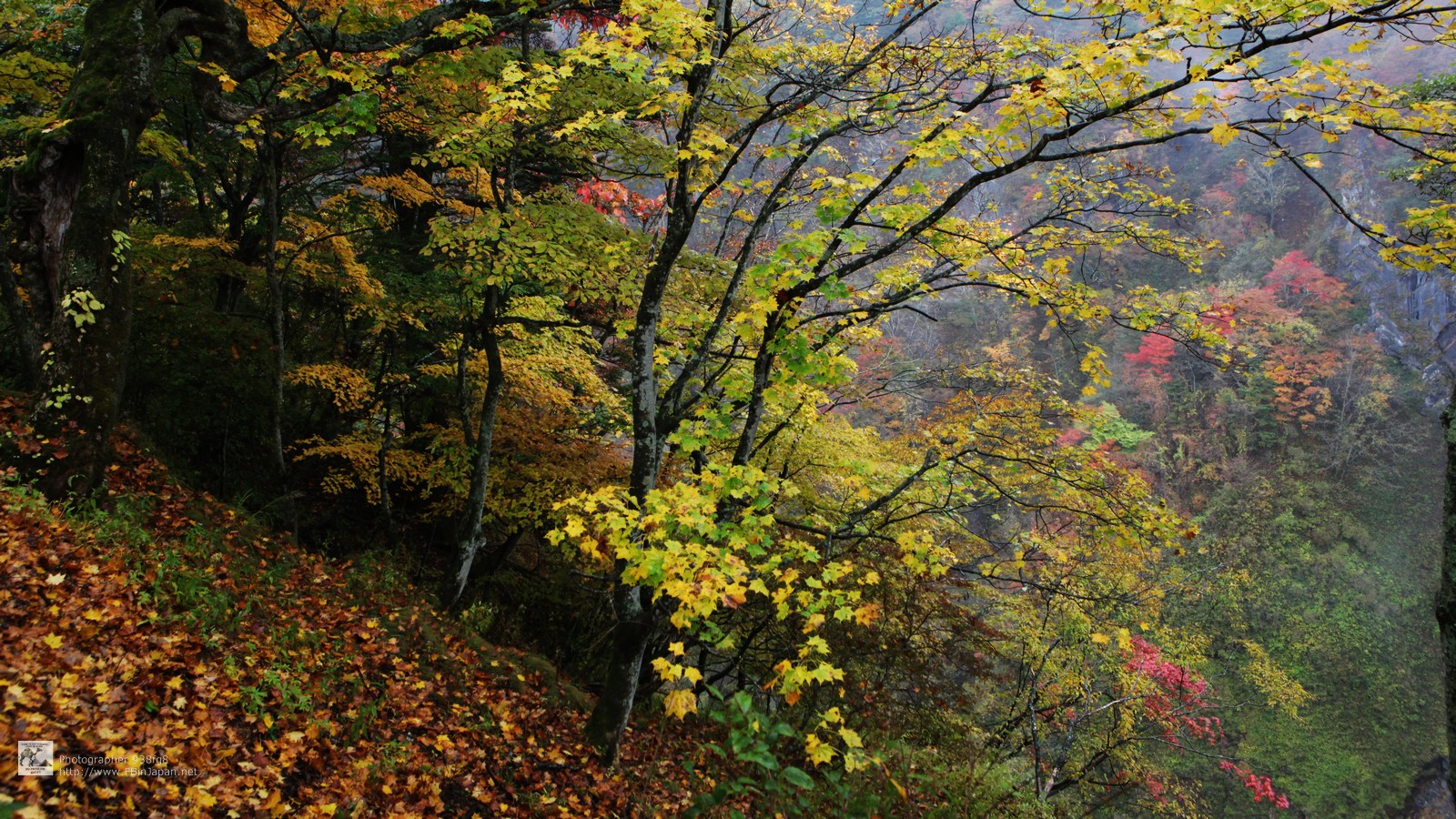 2012-10-27-nikko-IMG_5184.jpg