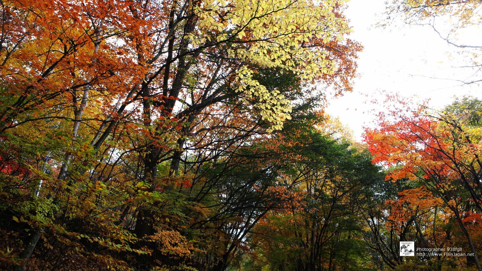 2012-10-27-nikko-IMG_5309.jpg