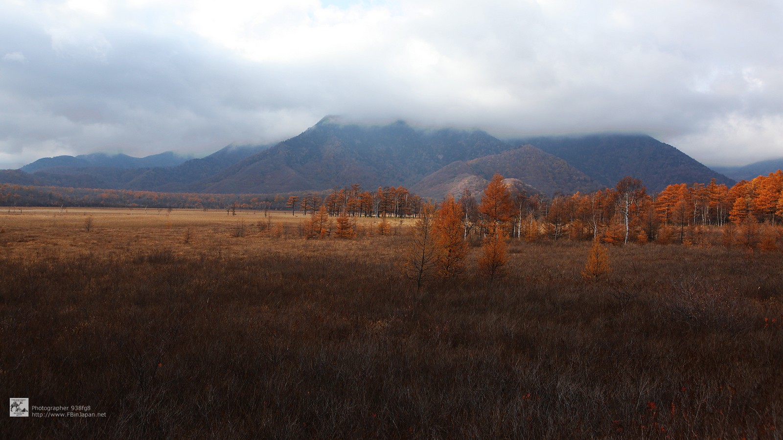 2012-10-27-nikko-IMG_5376.jpg