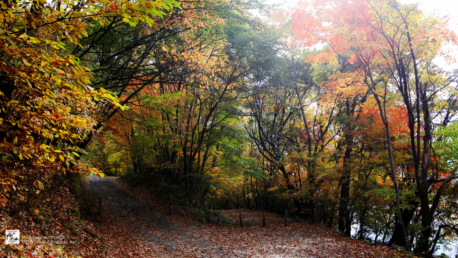 2012-10-27-nikko-IMG_5300.jpg