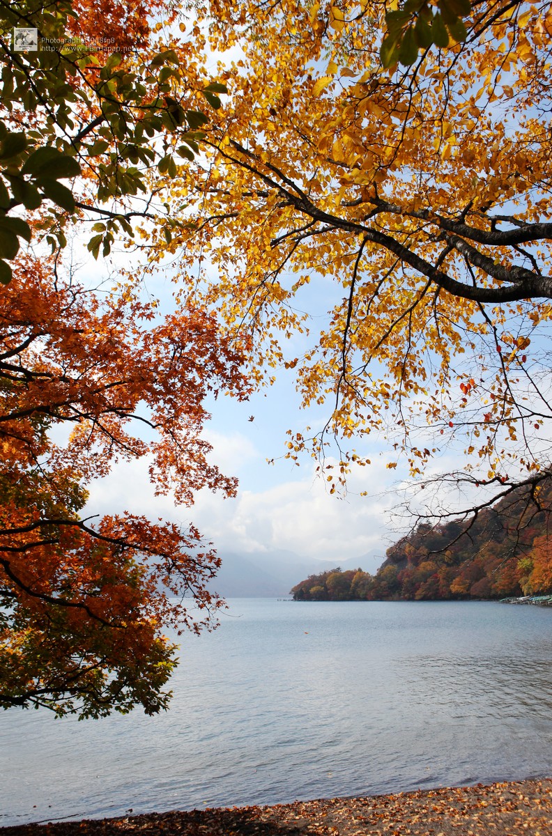 2012-10-27-nikko-IMG_5276.jpg