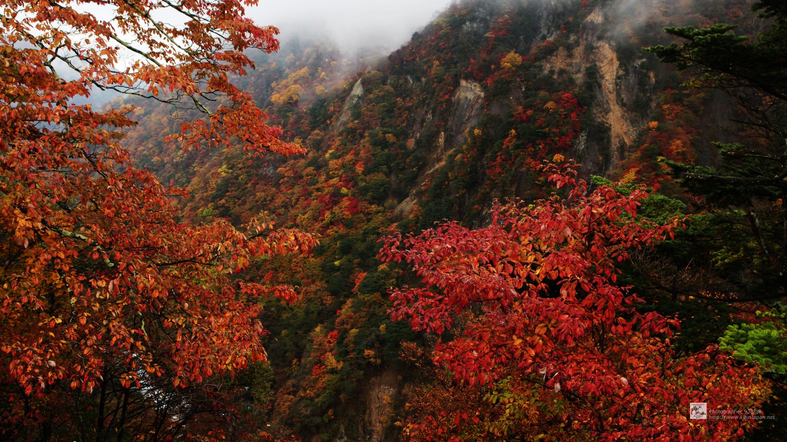 2012-10-27-nikko-IMG_5200.jpg