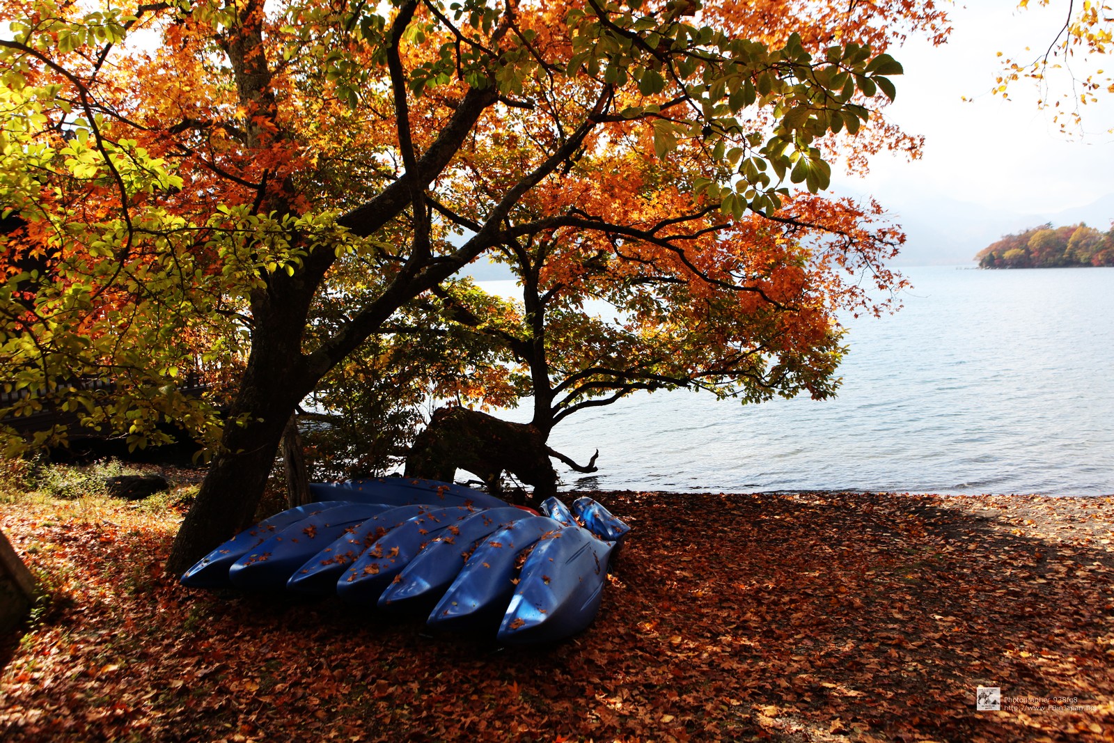 2012-10-27-nikko-IMG_5260.jpg