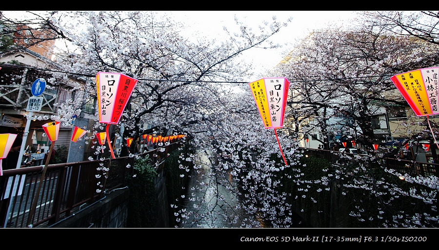 20120405-nakameguro-sakura-IMG_7945.jpg