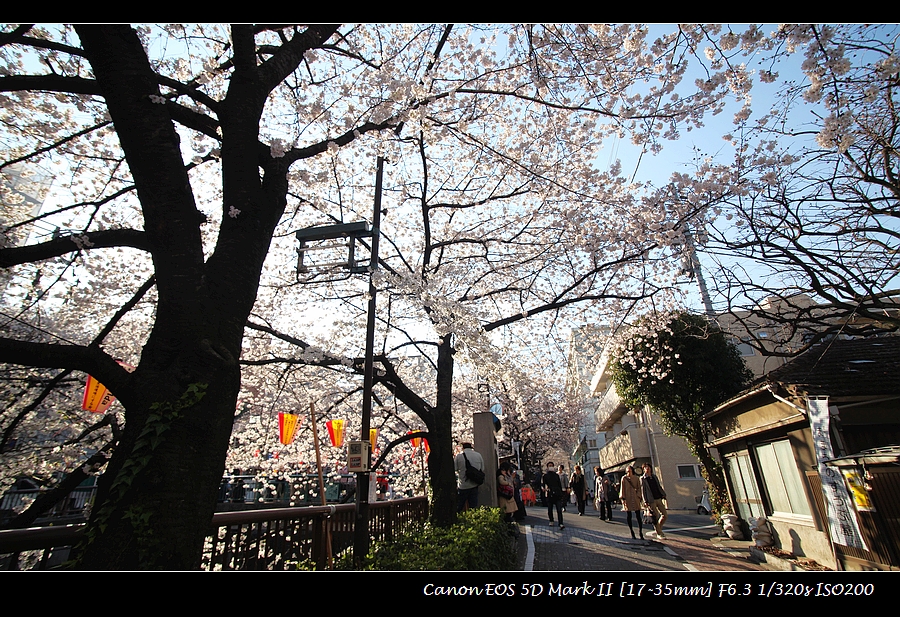 2012-04-05-nakameguro-sakura-IMG_7844.jpg