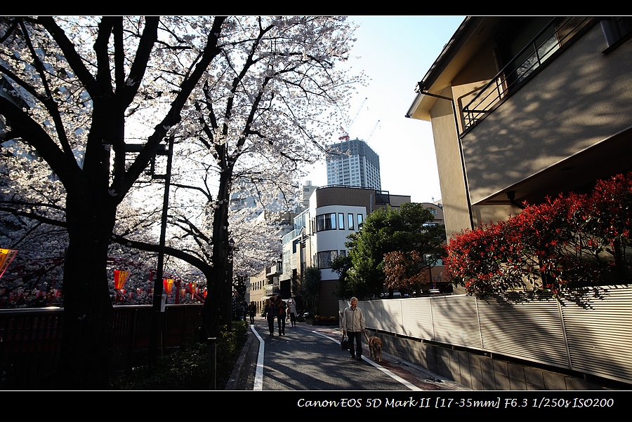 2012-04-05-nakameguro-sakura-IMG_7906.jpg