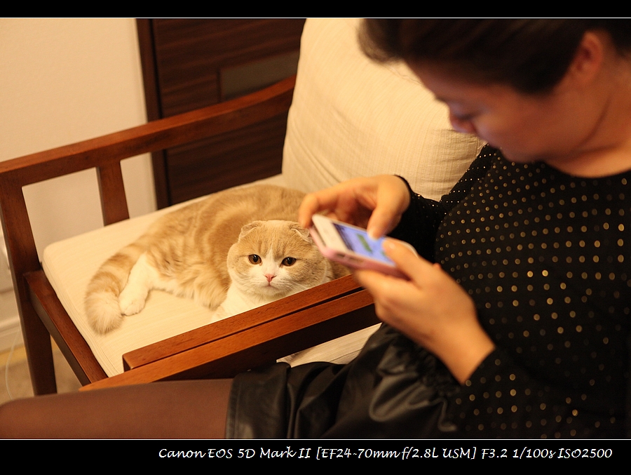 2013-04-02-cat-IMG_9657.jpg